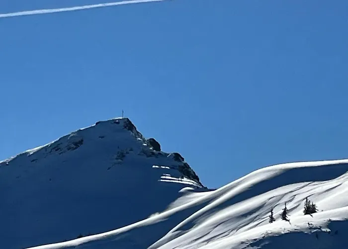 Alpium - Luxusappartements Flachau