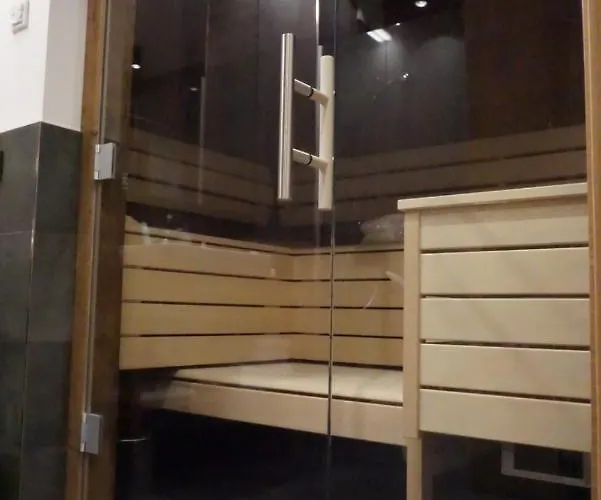 Alpium - Luxusappartements Apart-hotel Flachau